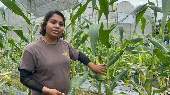 মালয়েশিয়ায় কৃষিতে যুগান্তকারী পরিবর্তন নিয়ে এসেছেন বৃষ্টি খাতুন
