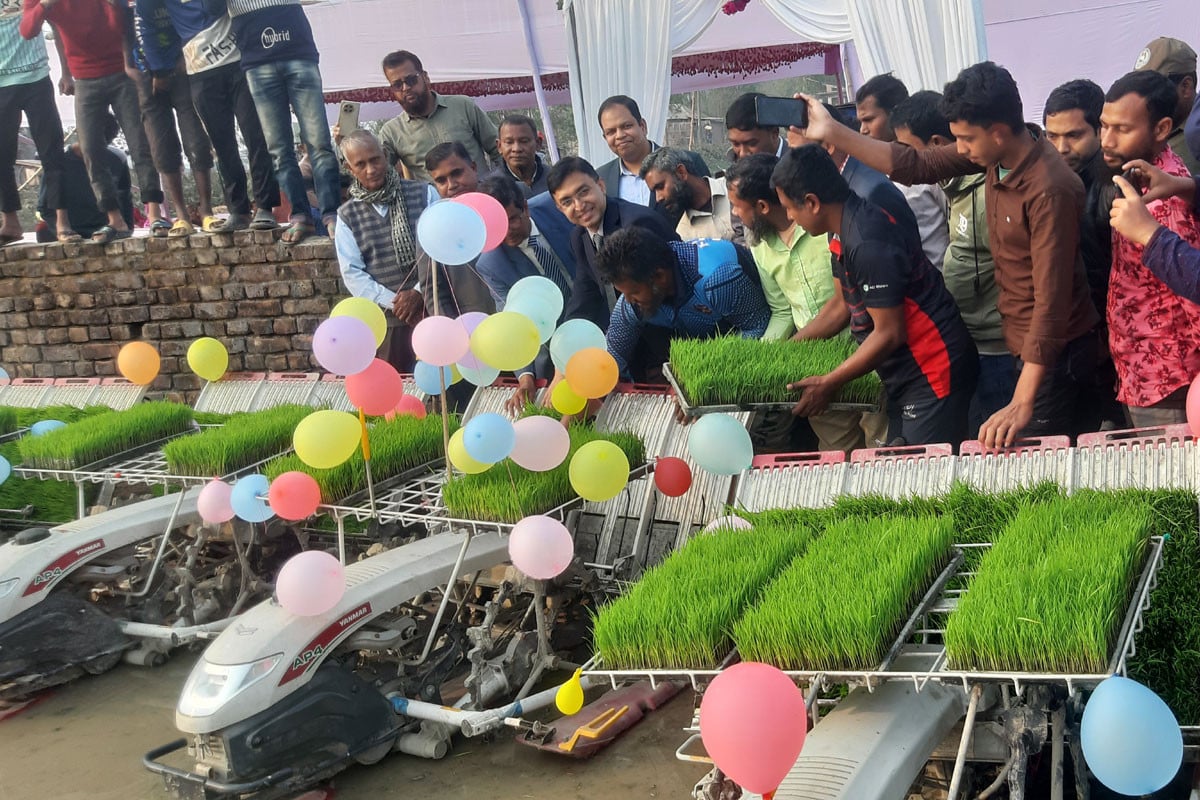 “নীলফামারীতে প্রথমবার সমলয় পদ্ধতির চাষাবাদের উদ্বোধন”