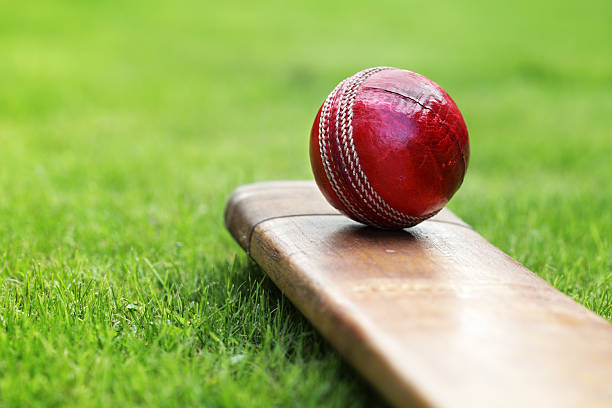 Cricket ball resting on a cricket bat on green grass of cricket pitch একই দিনে ১৯ উইকেট—রেকর্ড গড়ার দিন ফিরে এলো বাংলাদেশের মুলতান-দুঃখ।