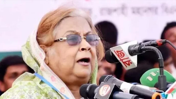 সরকারে থেকে দল করা যাবে না, অন্তর্বর্তী সরকারকে হুঁশিয়ারি দিলেন সেলিমা রহমান