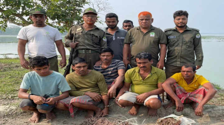 সুন্দরবনে হরিণ শিকারের সময় ৫ চোরাশিকারি আটক, বিপুল পরিমাণ ফাঁদ জব্দ