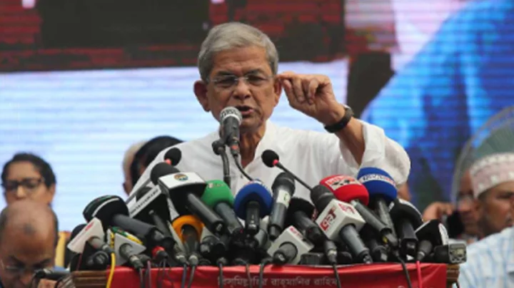 সরকারি মদদে দল গঠন মেনে নেওয়া যাবে না: মির্জা ফখরুল