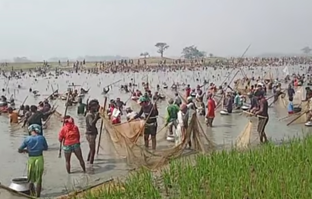 সুনামগঞ্জে দুটি জলমহালে আবারও মাছ চুরি হয়েছে।
