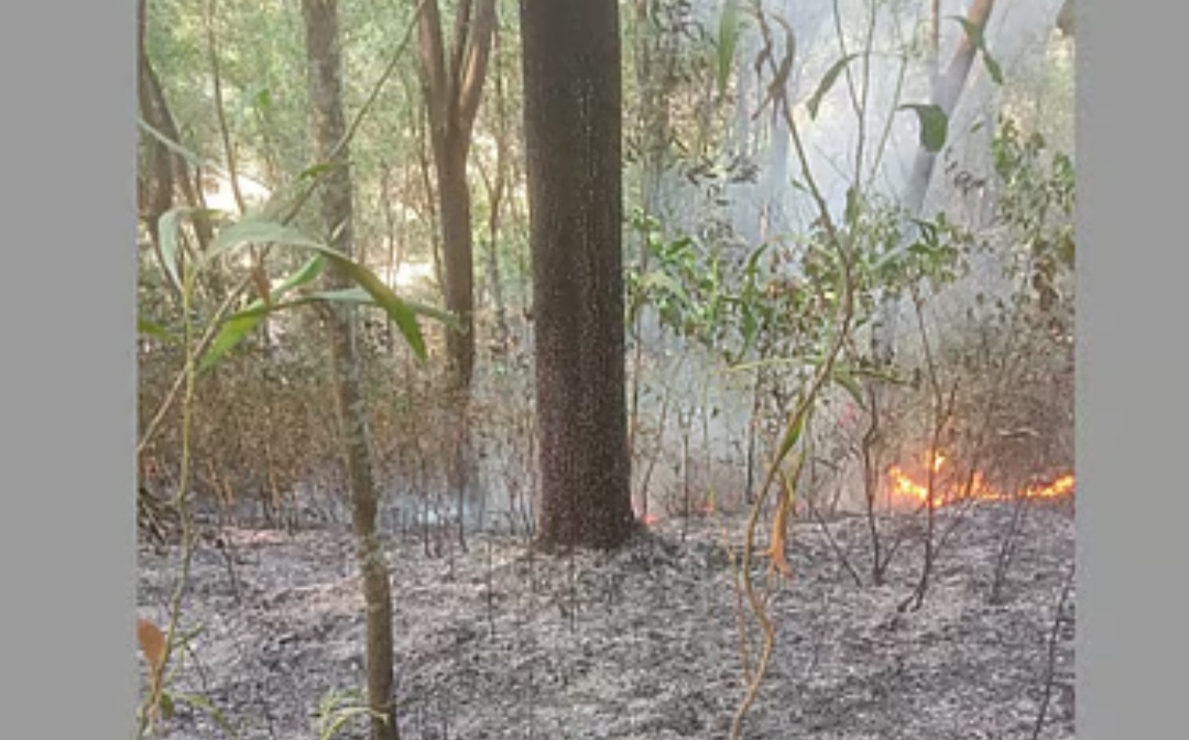 শাহজালাল বিশ্ববিদ্যালয়ের টিলায় জনসাধারণের প্রবেশে নিষেধাজ্ঞা থাকা সত্ত্বেও সেখানে অগ্নিকাণ্ড ঘটেছে।