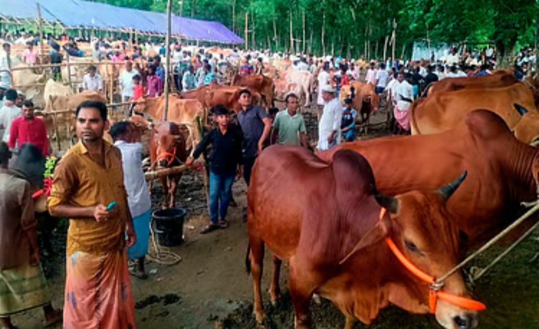 মিয়ানমার সীমান্তের বাজারটির এক বছরের ইজারামূল্য ২৫ কোটি টাকা, কিন্তু কেন এত ‘দামি’ এটি?