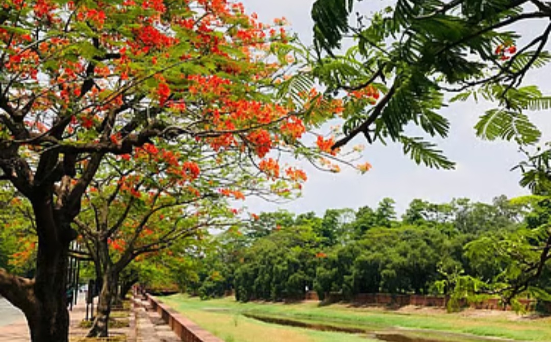 ‘চন্দ্রিমা উদ্যানের নাম পরিবর্তন করে আবার ‘জিয়া উদ্যান’ রাখা হয়েছে।’