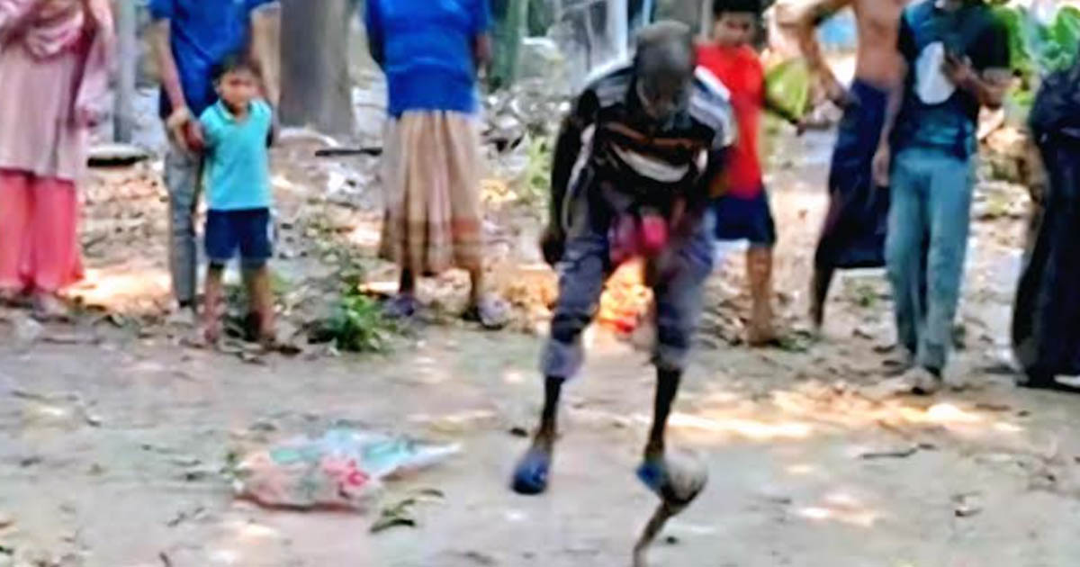 যশোরে মুরগির ঘর থেকে উদ্ধার বিষধর পদ্ম গোখরা সাপ