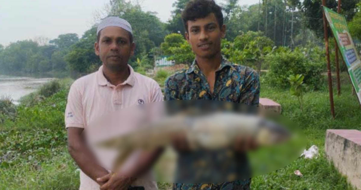 হালদা নদীতে মা মাছের মৃত্যু, উদ্বেগ প্রকাশ গবেষকদের