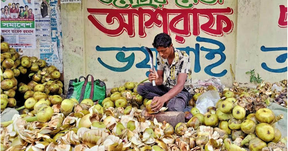 গরমে পুষ্টিগুণে ভরপুর তালের শাঁস: টাঙ্গাইলে বাড়ছে চাহিদা ও দাম