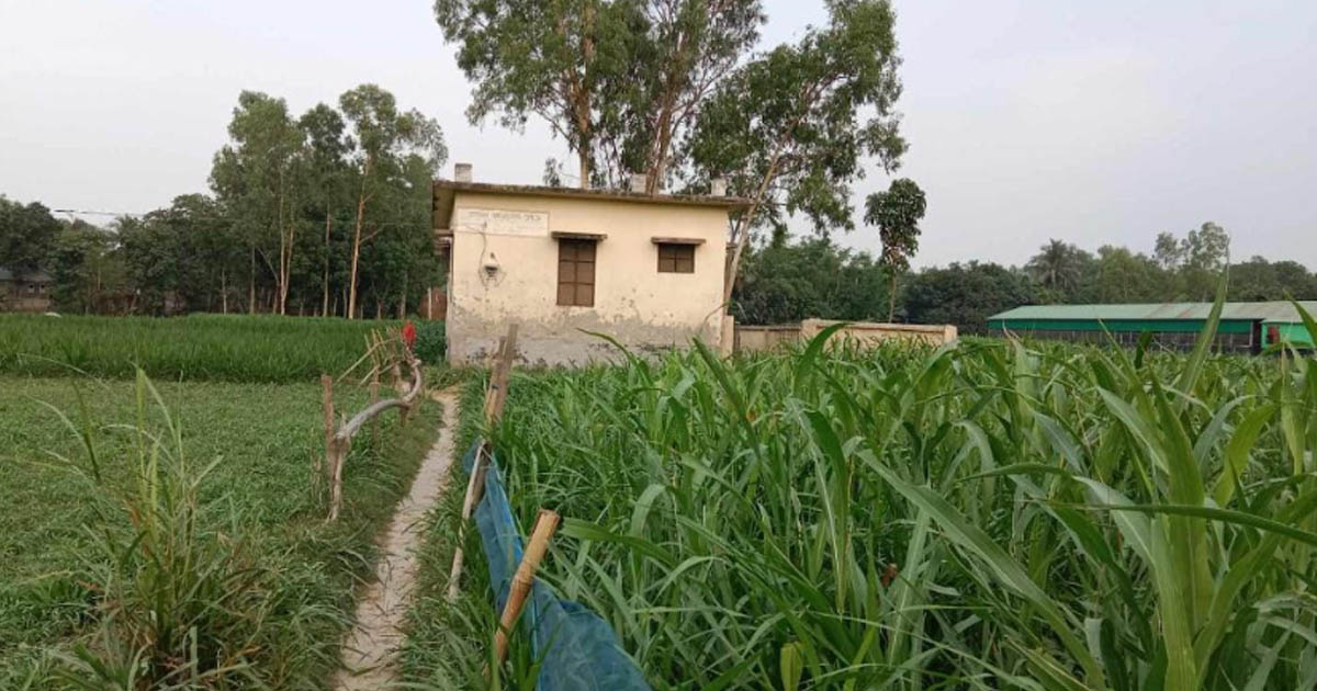 পাবনার ভাঙ্গুড়া উপজেলার বেতুয়ান কমিউনিটি ক্লিনিকে সড়কের অভাবে দুর্ভোগ