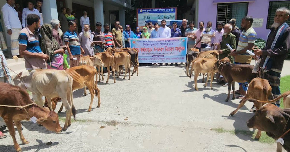 কুষ্টিয়ার ভেড়ামারায় হতদরিদ্র ৩২ জেলের মাঝে বকনা গরুর বাছুর বিতরণ