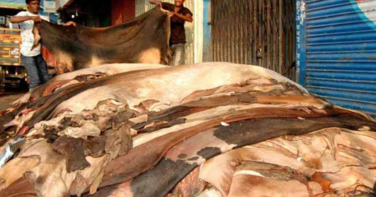 চামড়ার দামের ঘোষণা বাড়লেও বাস্তবে বাড়েনি, ব্যবসায়ীদের ক্ষোভ