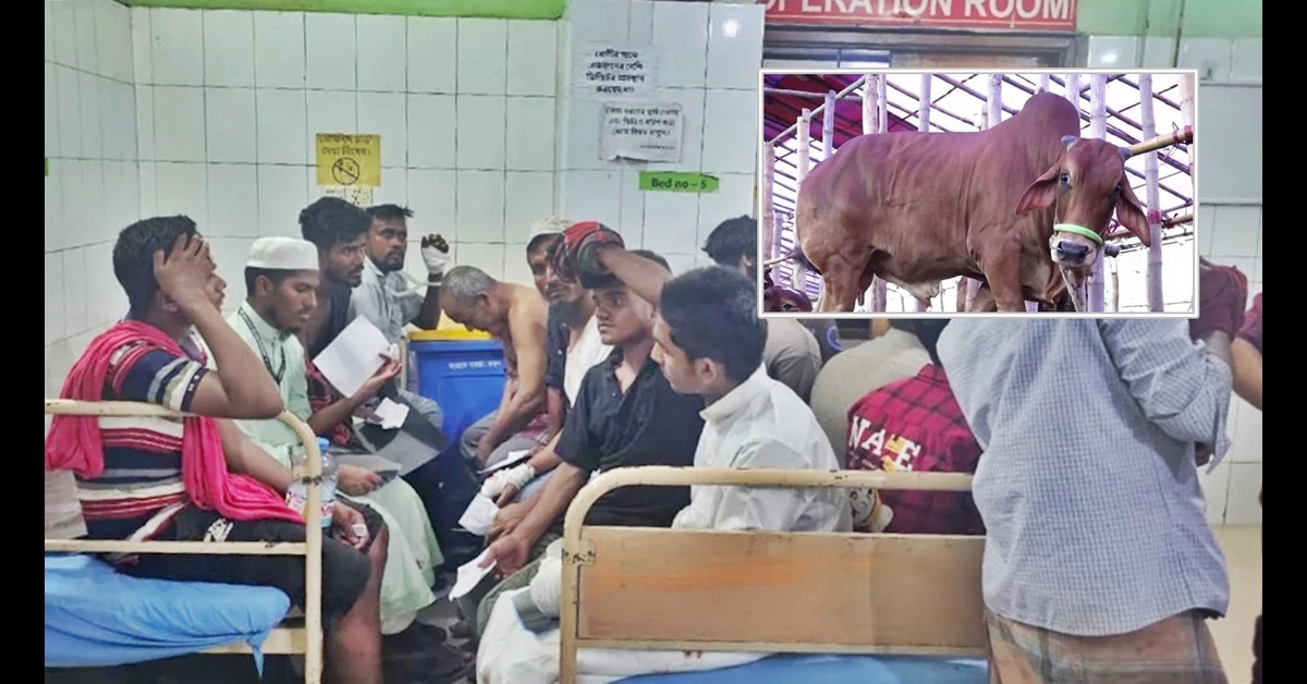 ঈদুল আজহায় কোরবানির সময় রাজধানীতে ১১০ জন আহত, ঢাকা মেডিকেলে ভর্তি ৩