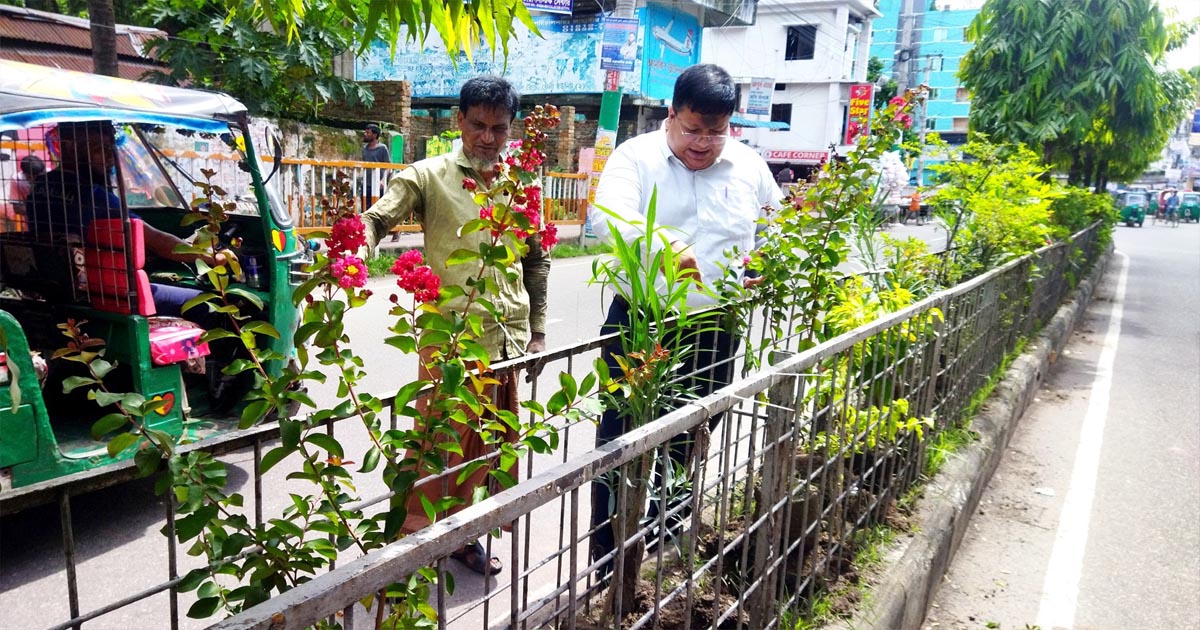 ফেনী শহরের সৌন্দর্য বর্ধনে ফুল গাছের চারা রোপণ