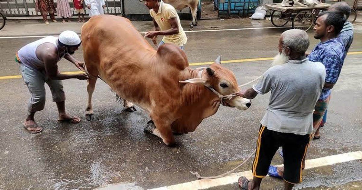 ধর্মীয় ভাবগাম্ভীর্য ও উৎসবমুখর পরিবেশে সারাদেশে উদযাপিত হচ্ছে পবিত্র ঈদুল আজহা