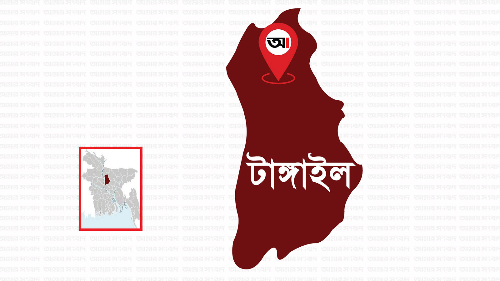 টাঙ্গাইলে প্রবাসীর স্ত্রী দিলরুবা আক্তারের ঝুলন্ত মরদেহ উদ্ধার