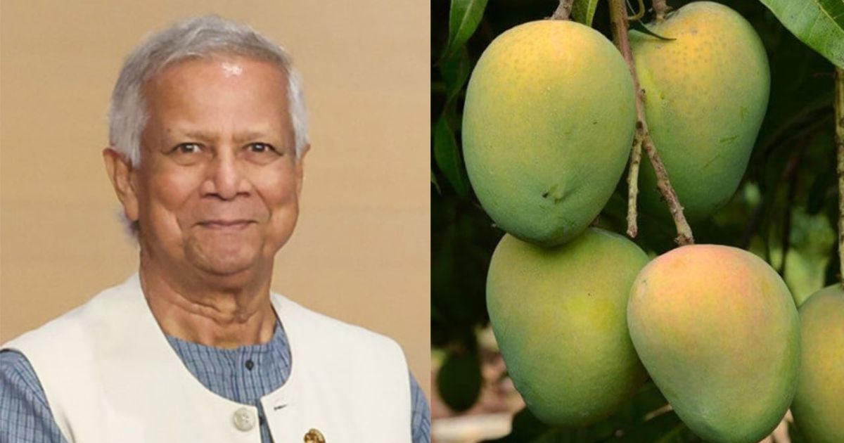 প্রধান উপদেষ্টা ড. মুহাম্মদ ইউনূসের পক্ষ থেকে পাঁচটি দেশের শীর্ষ নেতাদের কাছে আম পাঠানো হচ্ছে